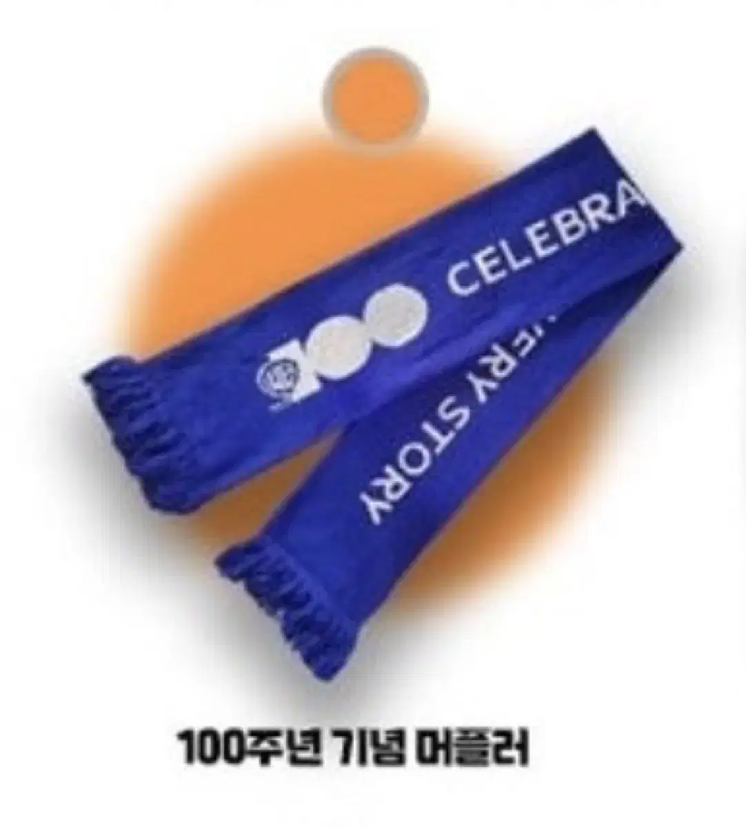 워너브라더스 100주념 기념 머플러